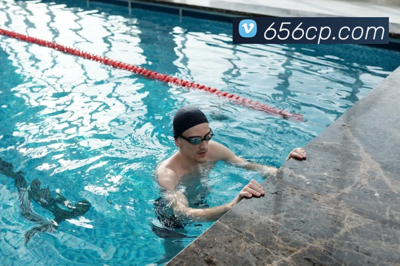 线上彩票平台平台生态图
